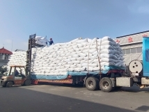 把握機(jī)遇、鉚足干勁、承勢(shì)而上